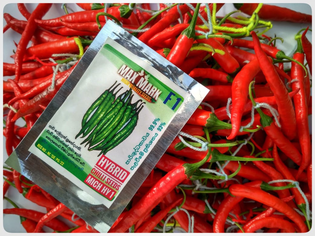 Red Hot Hybrid F1 Chili
